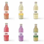 Fixed Assorted Pack Herbal Super Tea Kombucha (250ml)
